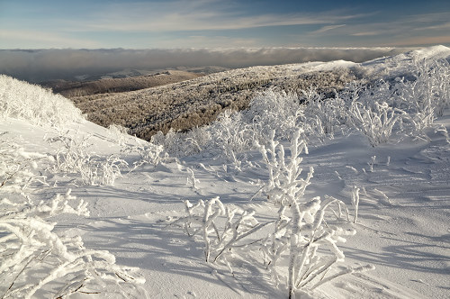 Zimowe bieszadzkie widoki - fot. Lesław Obłój