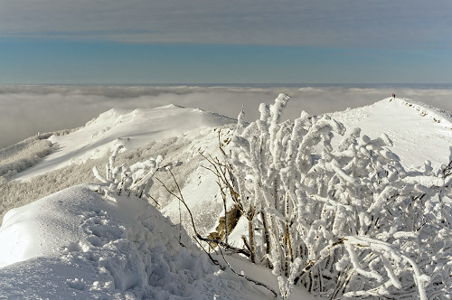 Zimowe bieszadzkie widoki - na Bukowym Berdzie - fot. Lesław Obłój