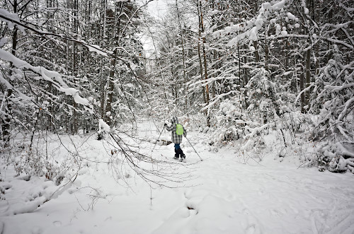 Z nadzieją w śnieżny las  - fot. Lesław Obłój